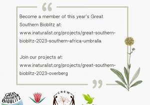 Great Southern Bioblitz