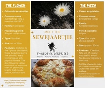 Meet the Sewejaartjie Pizza