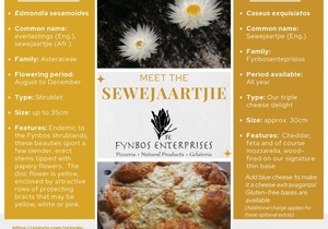 Meet the Sewejaartjie Pizza