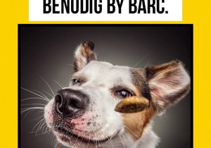 Dog and Cat Food Needed