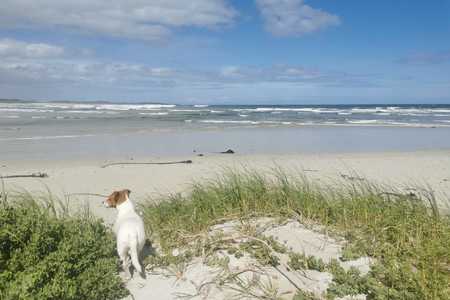 WhatsApp_Image_2023_10_11_at_20.12.23_2_1697471686