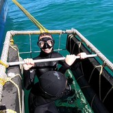 Best Day Ever - Cape Shark Adventures - Xplorio™ Gansbaai