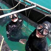 Bucket List - Cape Shark Adventures - Xplorio™ Gansbaai