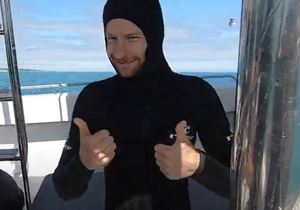 Shark Cage Diving with Cape Shark Adventures