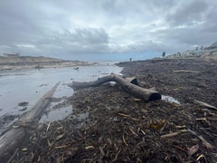 Update on Clean Up of Onrus Beach