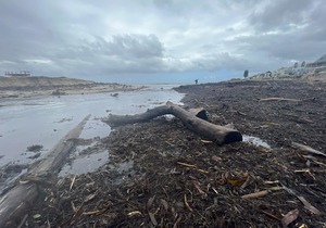 Update on Clean Up of Onrus Beach