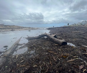Update on Clean Up of Onrus Beach