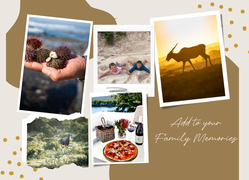 Embrace the Great Outdoors: A Family Adventure Awaits at De Hoop!