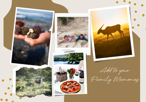 Embrace the Great Outdoors: A Family Adventure Awaits at De Hoop!