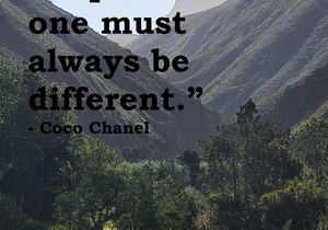 Be extraordinary to be irreplaceable!