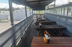 deck_with_roof_1__1729859115