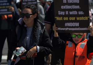 The Cookie is Crumbling for the African Penguin