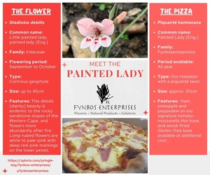 Meet the Painted Lady Pizza