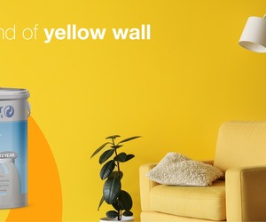 Yellowing of Walls