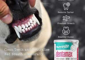 DentaMax - Clean Teeth and Neutralise Bad Breath Naturally