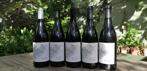 Now in Stock - Sijnn Singles!