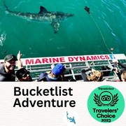 Next Marine Dynamics Shark Cage Diving Trip: 4 November 2023