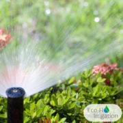 Watering the Garden Automatically