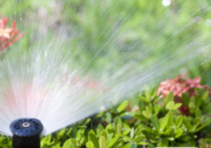 Watering the Garden Automatically