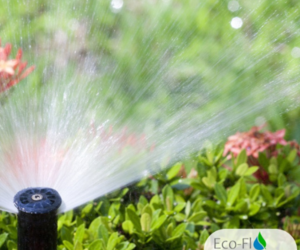 Watering the Garden Automatically
