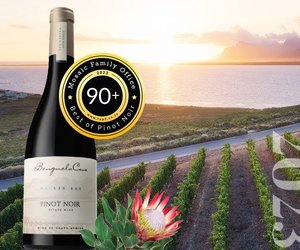 Mosaic Top 5 Pinot Noir Wine Awards