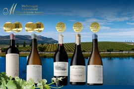 Michelangelo Awards 2023