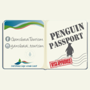 Penguin Campaign December 2023 - It’s Competition Time!