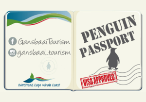 Penguin Campaign December 2023 - It’s Competition Time!