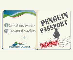 Penguin Campaign December 2023 - It’s Competition Time!