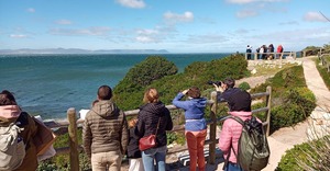 Hermanus Welcomes Local Holidaymakers and International Travellers