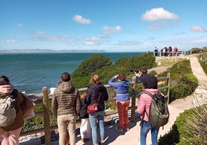 Hermanus Welcomes Local Holidaymakers and International Travellers