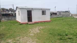 The Brick Wall Project