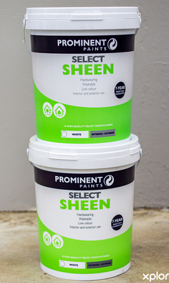 bredasdorp_paint_shops_lighthouse_paints_prominent_select_sheen_1700025840