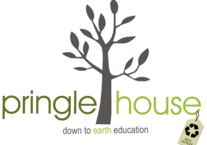 Pringle House Eco School Achieves Gold Award from WESSA!