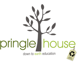 Pringle House Eco School Achieves Gold Award from WESSA!