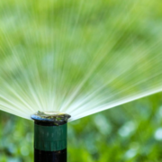 Embracing Irrigation to Bid Farewell to Garden Gymnastics