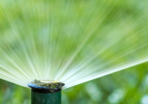 Embracing Irrigation to Bid Farewell to Garden Gymnastics