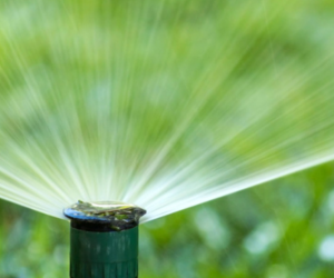 Embracing Irrigation to Bid Farewell to Garden Gymnastics