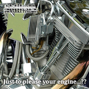 What!! Just to please your engine...??