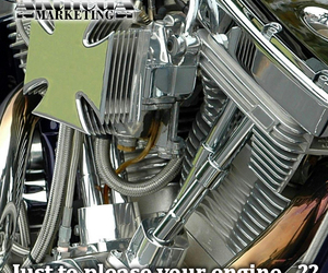 What!! Just to please your engine...??