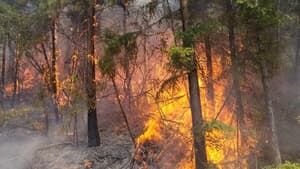 FIRE SEASON IS COMING - Get Ready