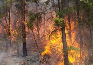 FIRE SEASON IS COMING - Get Ready