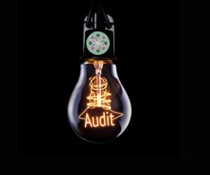 An Eye-Opening Audit Reveals Surprising Realities