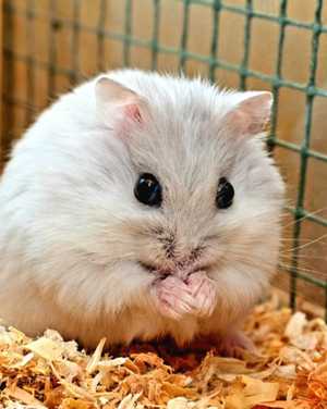 WhatsApp_Image_2023_11_20_at_13.09.00_1700478635