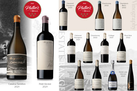 Platter’s 2024 Guide: Celebrating Benguela Cove's Wine Excellence