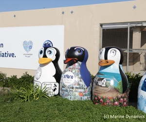 Penguin Campaign December 2023 - It’s Competition Time!