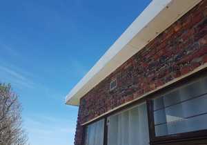 Soffit and House Repairing and Painting