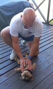 The Doggy Masseur at Sports Therapy Gansbaai