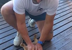 The Doggy Masseur at Sports Therapy Gansbaai