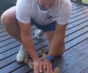 The Doggy Masseur at Sports Therapy Gansbaai